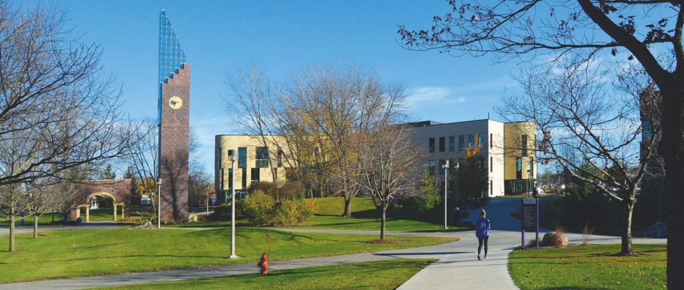 Minnesota State University 