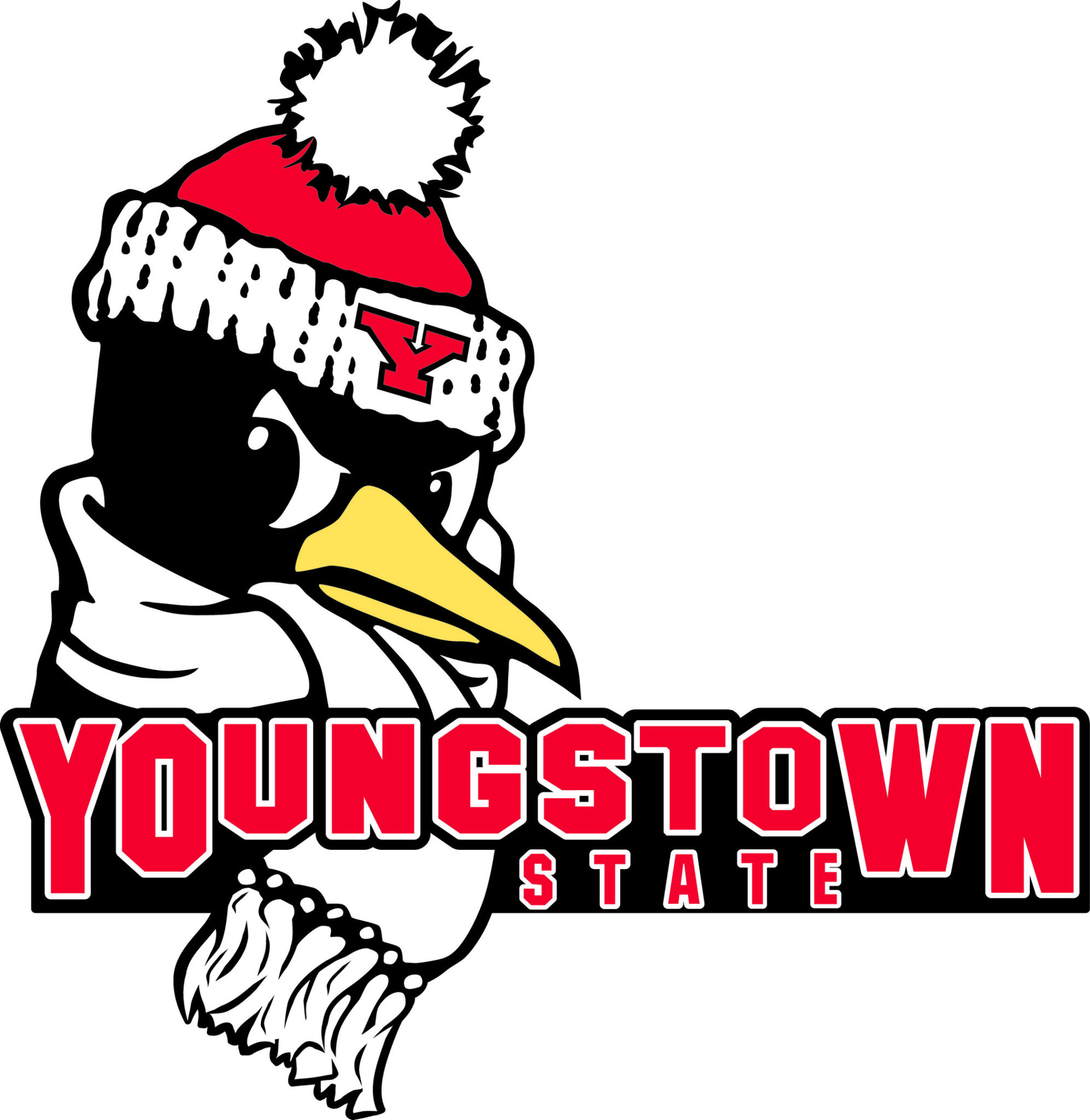 Youngstown State University, Ohio, United States